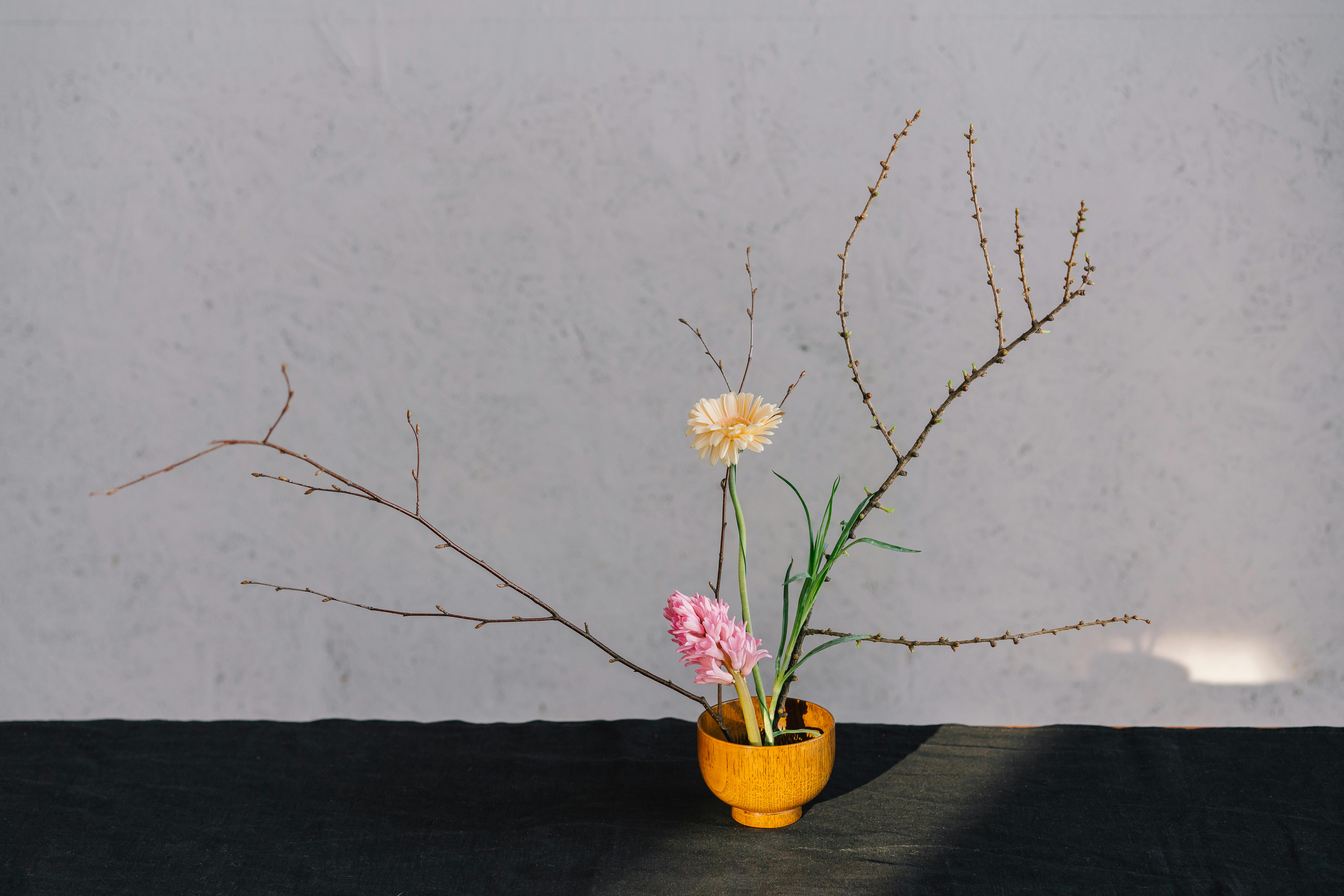 Growth and healing represented by beautiful flowers